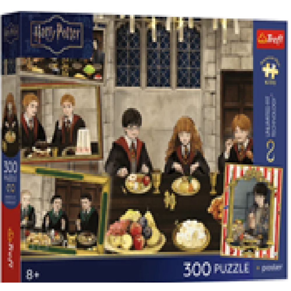 30581 Trefl Пазли "300 UFT Premium Plus Kids" Warner Harry P