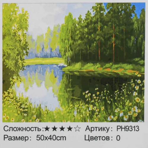 Картина за номерами РН 9313, 50x40 см, в коробці