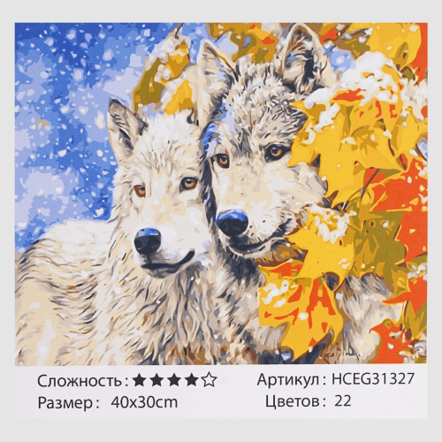 Картини за номерами 31327, 40×30см "TK Group"