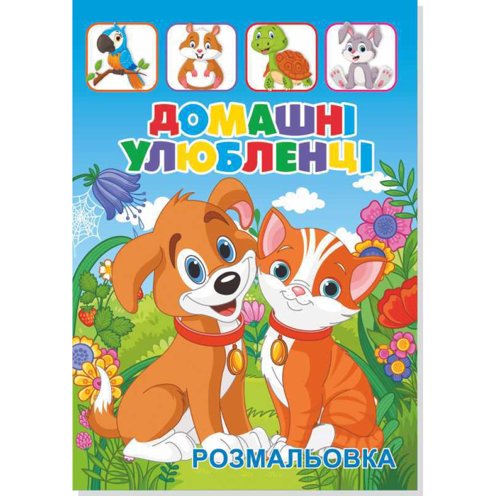Книжка розмальовка ДОМАШНІ УЛЮБЛЕНЦІ (10уп) 0551 - 0