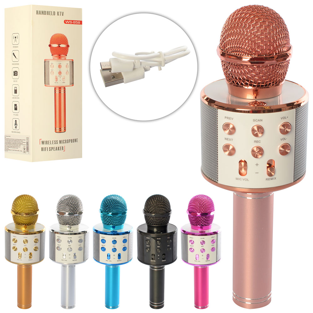 Мікрофон (20шт) акум, 23см, USB, Bluetooth, в коробці,