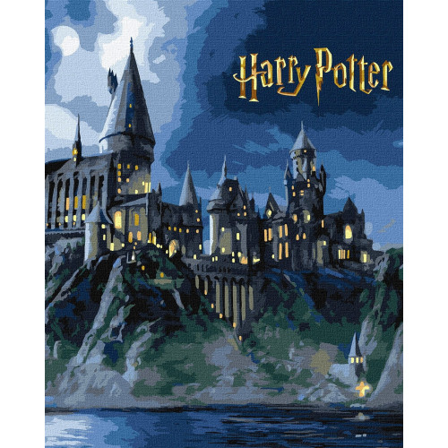 Набір для розпису по номерах WB Harry Potter: Гоґвортс вночі