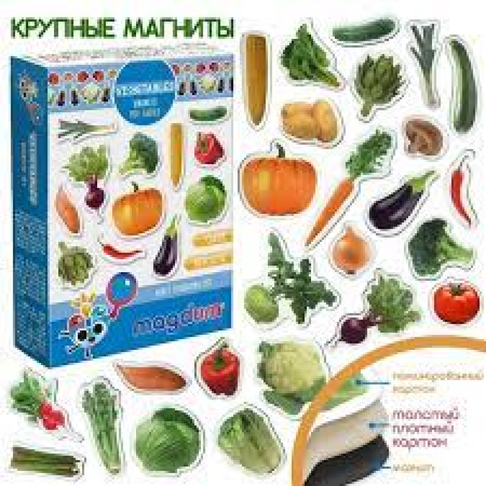 Набір магнітів Magnetic set "Vegetables" ML4031-12 EN