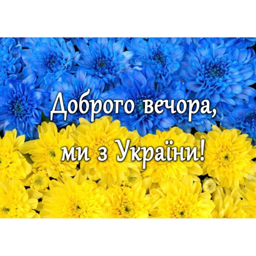 Подушка з принтом №1 (Доброго вечора ми з України) 26×40×8