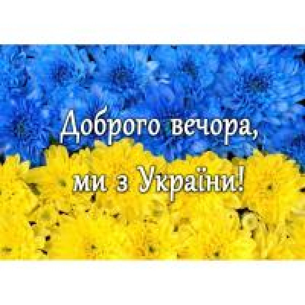 Подушка з принтом №1 (Доброго вечора ми з України) 26×40×8 - 0