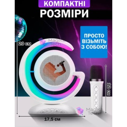 Портативна колонка з караоке мікрофоном 1 шт K110-N