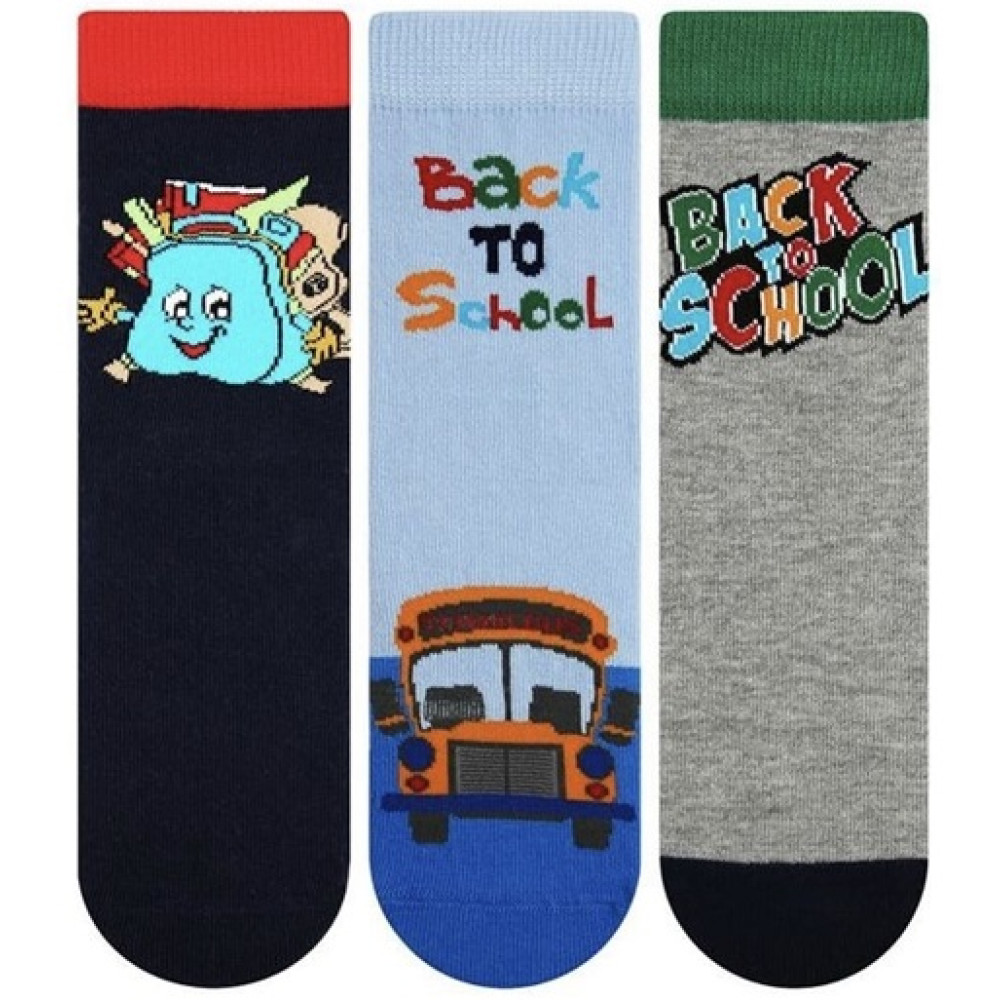 Шкарпетки для хлопчика Bross Socks mix 5799S