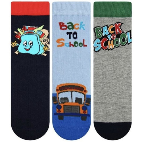 Шкарпетки для хлопчика Bross Socks mix 5799S