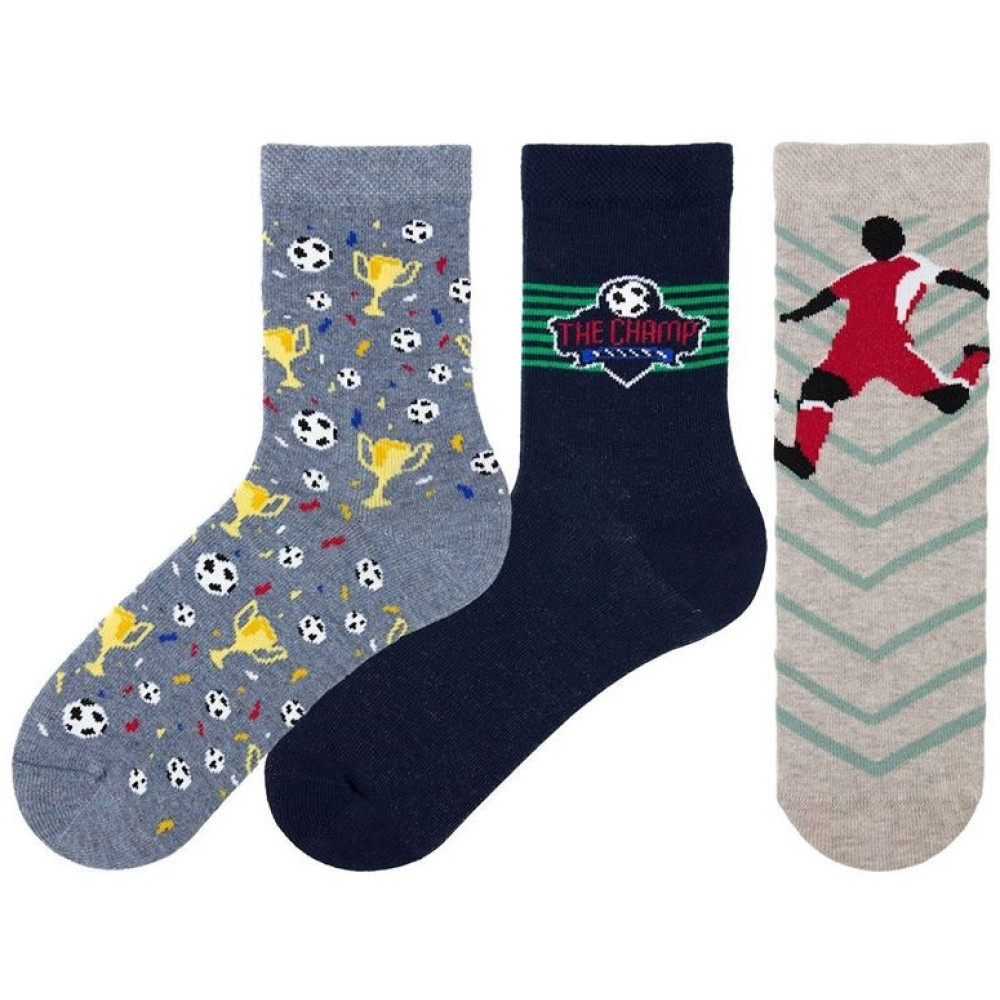 Шкарпетки для хлопчика Bross Socks mix (р 19-19.5) 559180