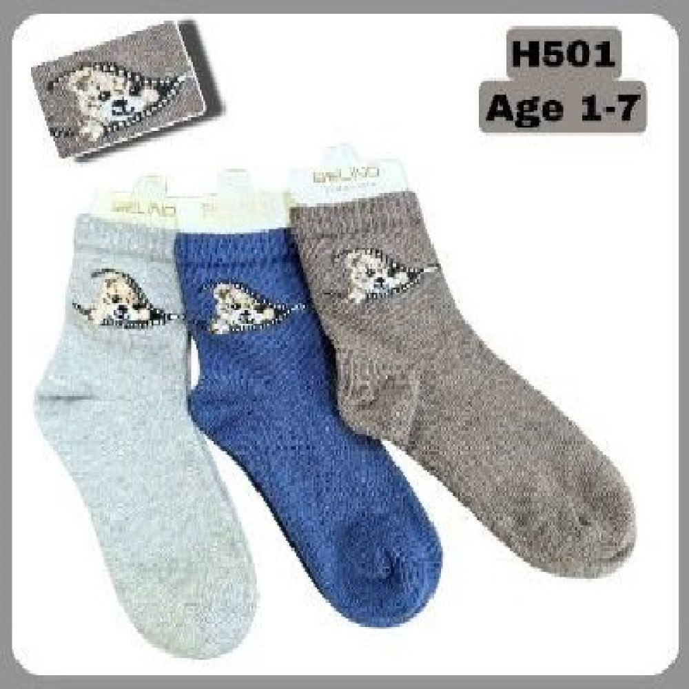 Шкарпетки для хлопчиків бавовняні H501