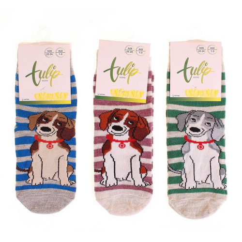 Шкарпетки Унісекс Bross Socks mix 17064