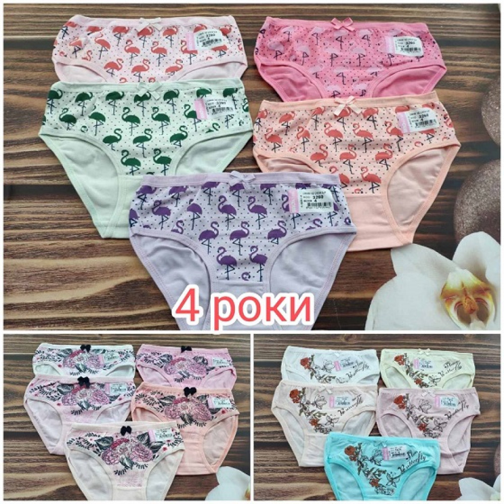 Труси для дівчинки BiyoKids mix (4 р) 3260T