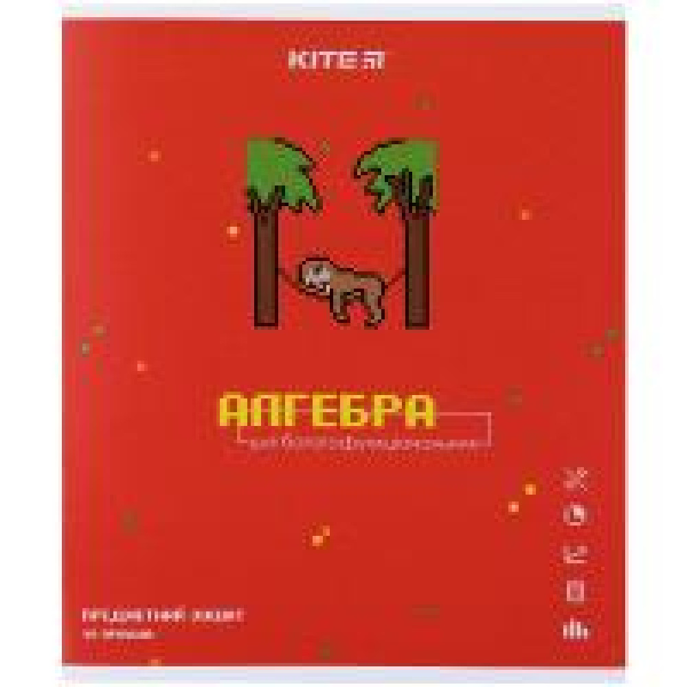 Зошит предметний 48 арк, кл, гібр лак з УФ, Pixel, алгебра - 0