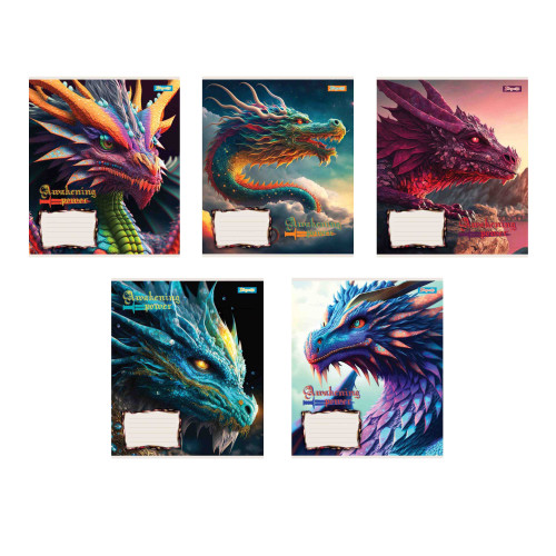 Зошит учнівський А5/18 кл 1В Dragon 766317