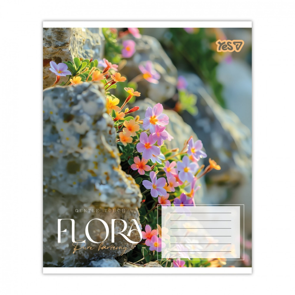 Зошит учнівський Flora А5 48 клітинка YES - 3