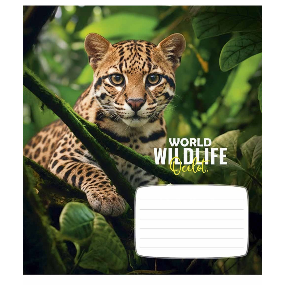 Зошит учнівський Wildlife 24 арк у клітинку ВД-лак Школярик - 4