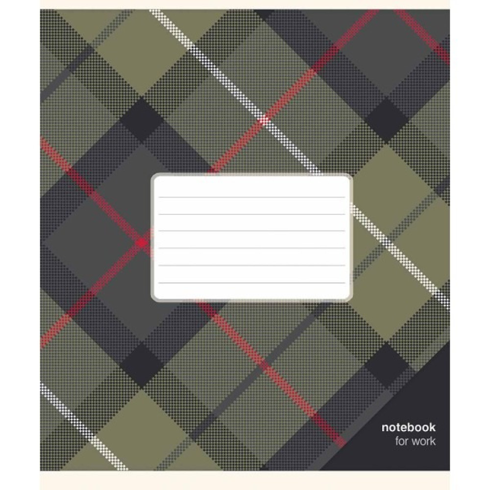 Зошит загальний Notebook for work 48арк лінія ВД Школярик - 3