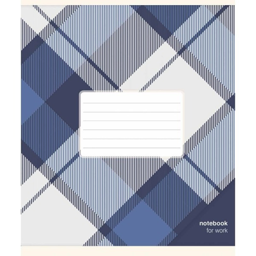 Зошит загальний Notebook for work 48арк лінія ВД Школярик - 4