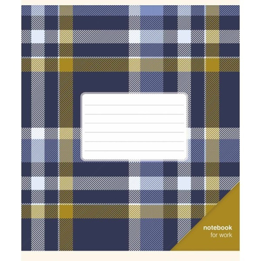 Зошит загальний Notebook for work 48арк лінія ВД Школярик - 1