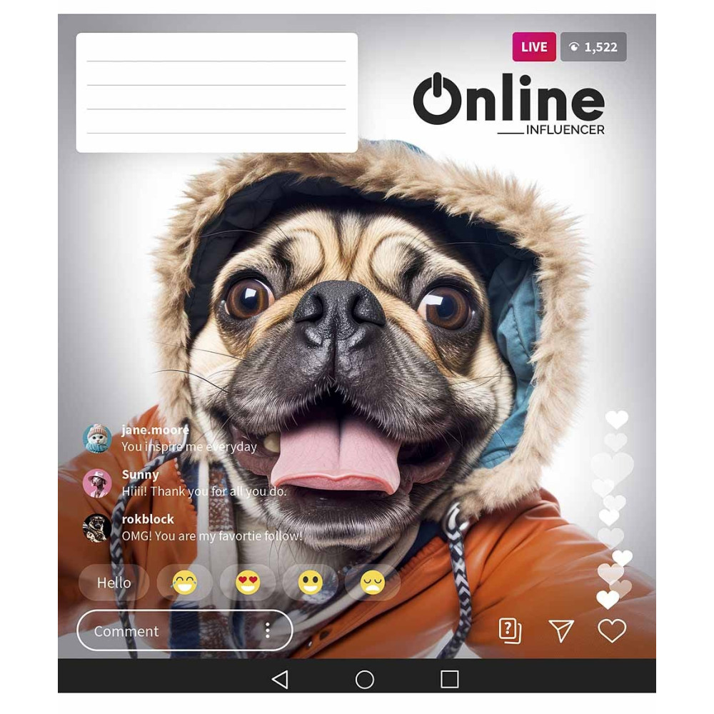 Зошит загальний Online 48 арк у лінію ВД-лак Школярик - 2